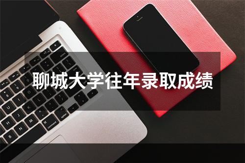 聊城大学往年录取成绩