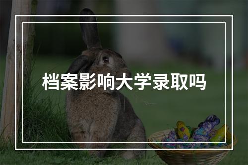 档案影响大学录取吗