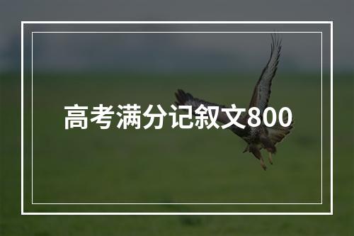 高考满分记叙文800