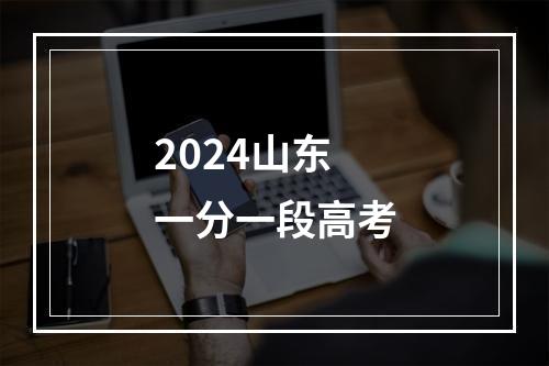 2024山东一分一段高考