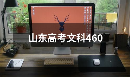 山东高考文科460