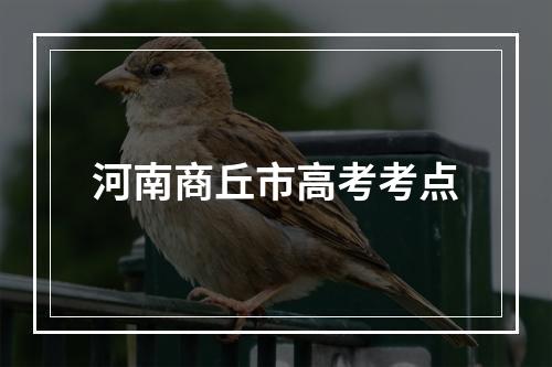 河南商丘市高考考点