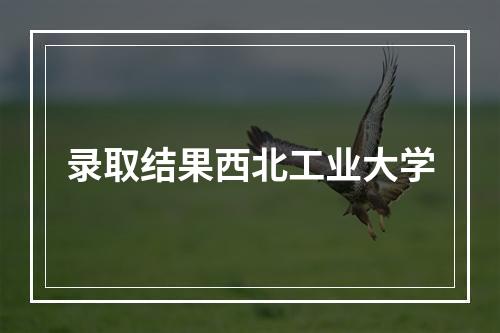 录取结果西北工业大学