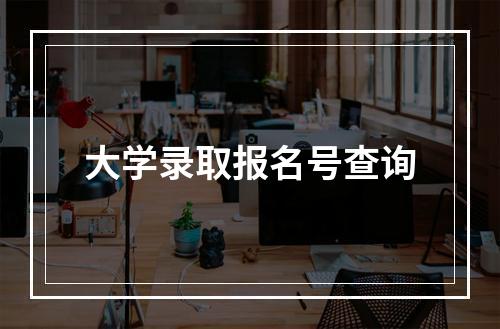 大学录取报名号查询