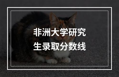 非洲大学研究生录取分数线