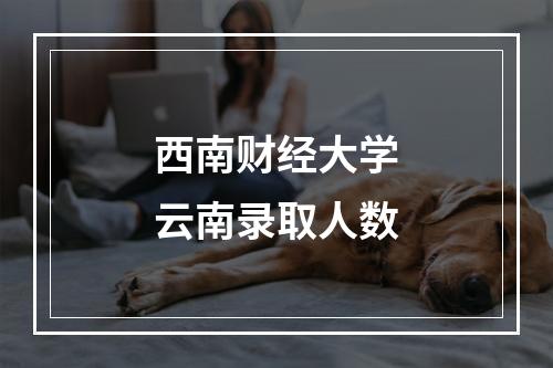 西南财经大学云南录取人数