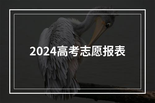 2024高考志愿报表