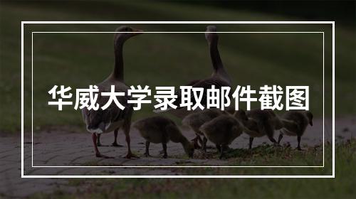 华威大学录取邮件截图