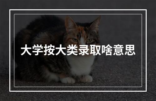 大学按大类录取啥意思