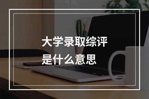 大学录取综评是什么意思