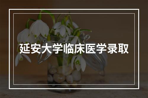 延安大学临床医学录取