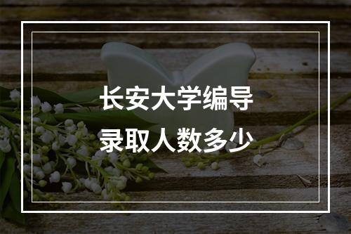 长安大学编导录取人数多少