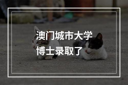 澳门城市大学博士录取了