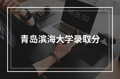 青岛滨海大学录取分