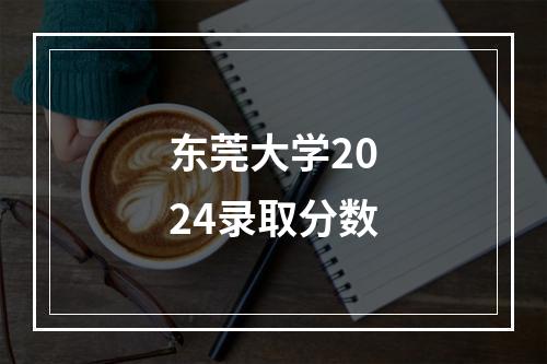 东莞大学2024录取分数