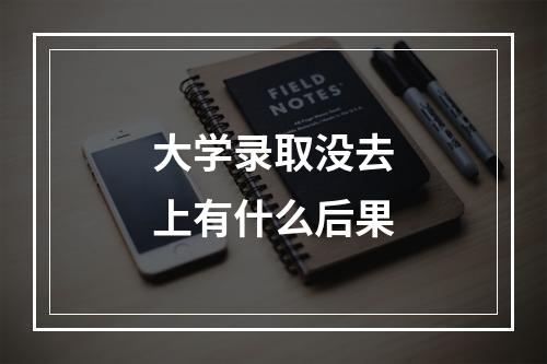 大学录取没去上有什么后果