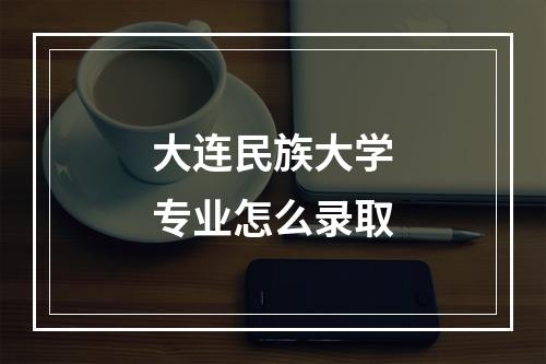 大连民族大学专业怎么录取