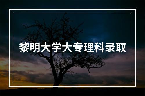 黎明大学大专理科录取