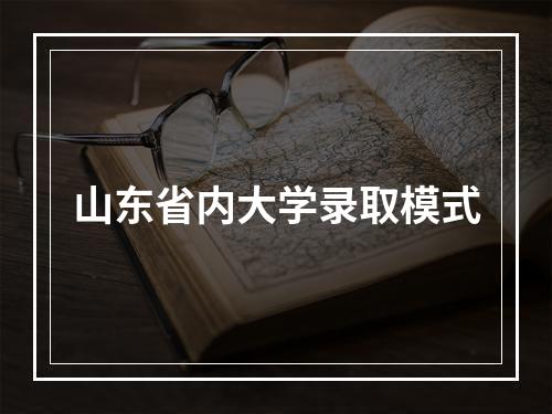 山东省内大学录取模式