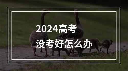 2024高考没考好怎么办