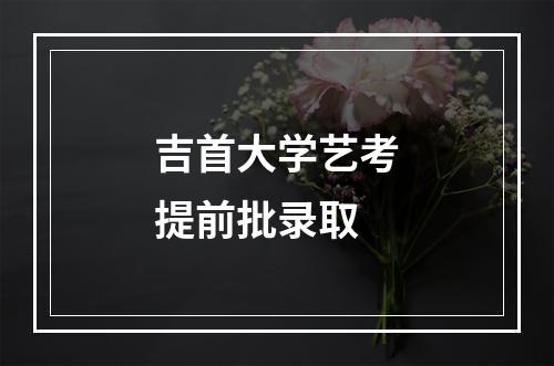 吉首大学艺考提前批录取