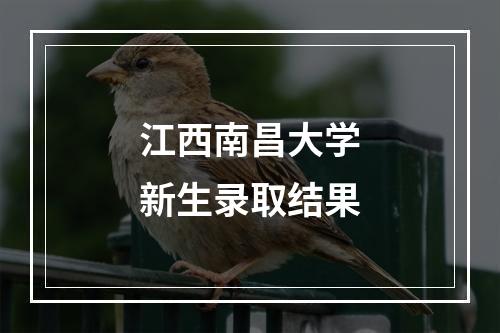 江西南昌大学新生录取结果