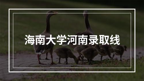 海南大学河南录取线