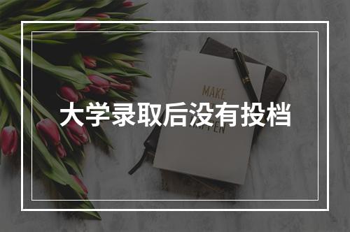 大学录取后没有投档