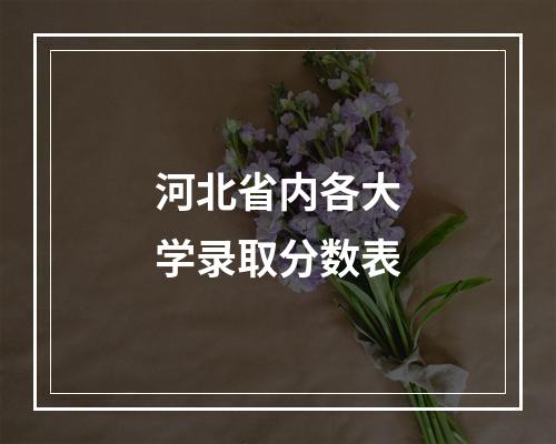 河北省内各大学录取分数表