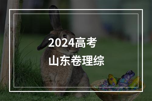 2024高考山东卷理综