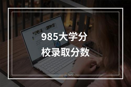 985大学分校录取分数