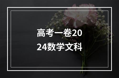 高考一卷2024数学文科