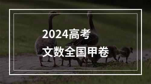 2024高考文数全国甲卷