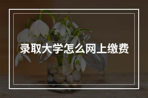 录取大学怎么网上缴费