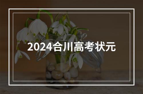 2024合川高考状元