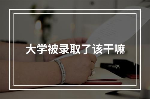 大学被录取了该干嘛