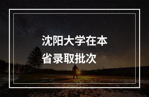 沈阳大学在本省录取批次