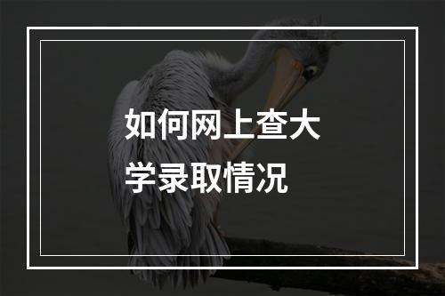 如何网上查大学录取情况