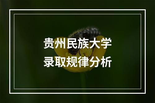 贵州民族大学录取规律分析