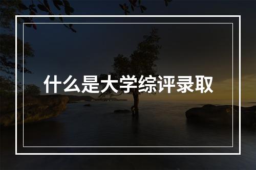 什么是大学综评录取