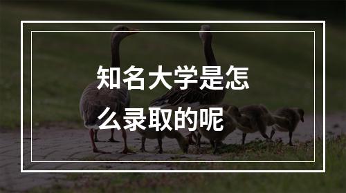 知名大学是怎么录取的呢