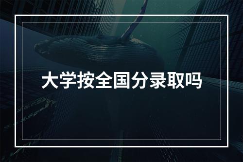 大学按全国分录取吗