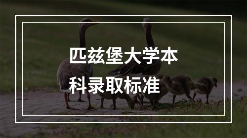 匹兹堡大学本科录取标准