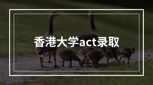 香港大学act录取