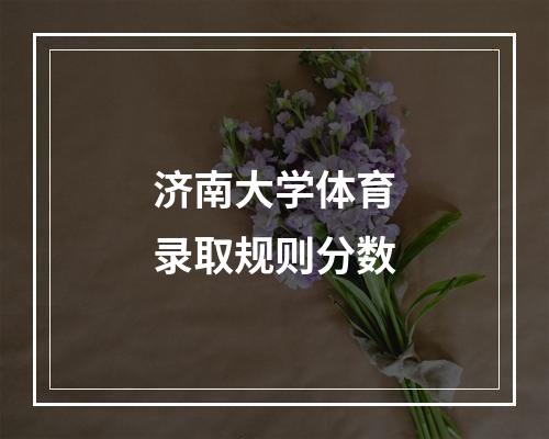 济南大学体育录取规则分数