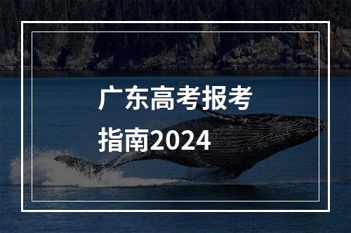 广东高考报考指南2024