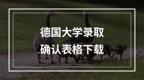 德国大学录取确认表格下载