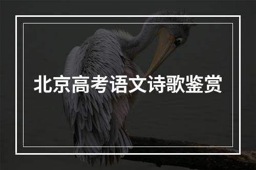 北京高考语文诗歌鉴赏