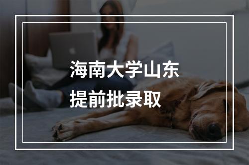 海南大学山东提前批录取