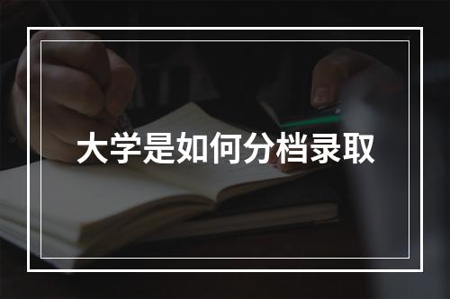 大学是如何分档录取